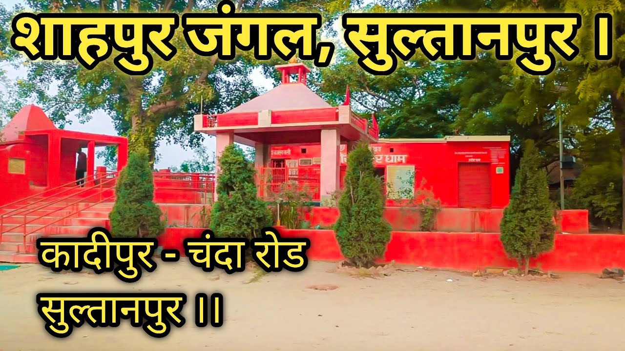 शाहपुर जंगल, सुल्तानपुर।। Shahpur jungle sultanpur || shahpur ECO paryatak sthal ||