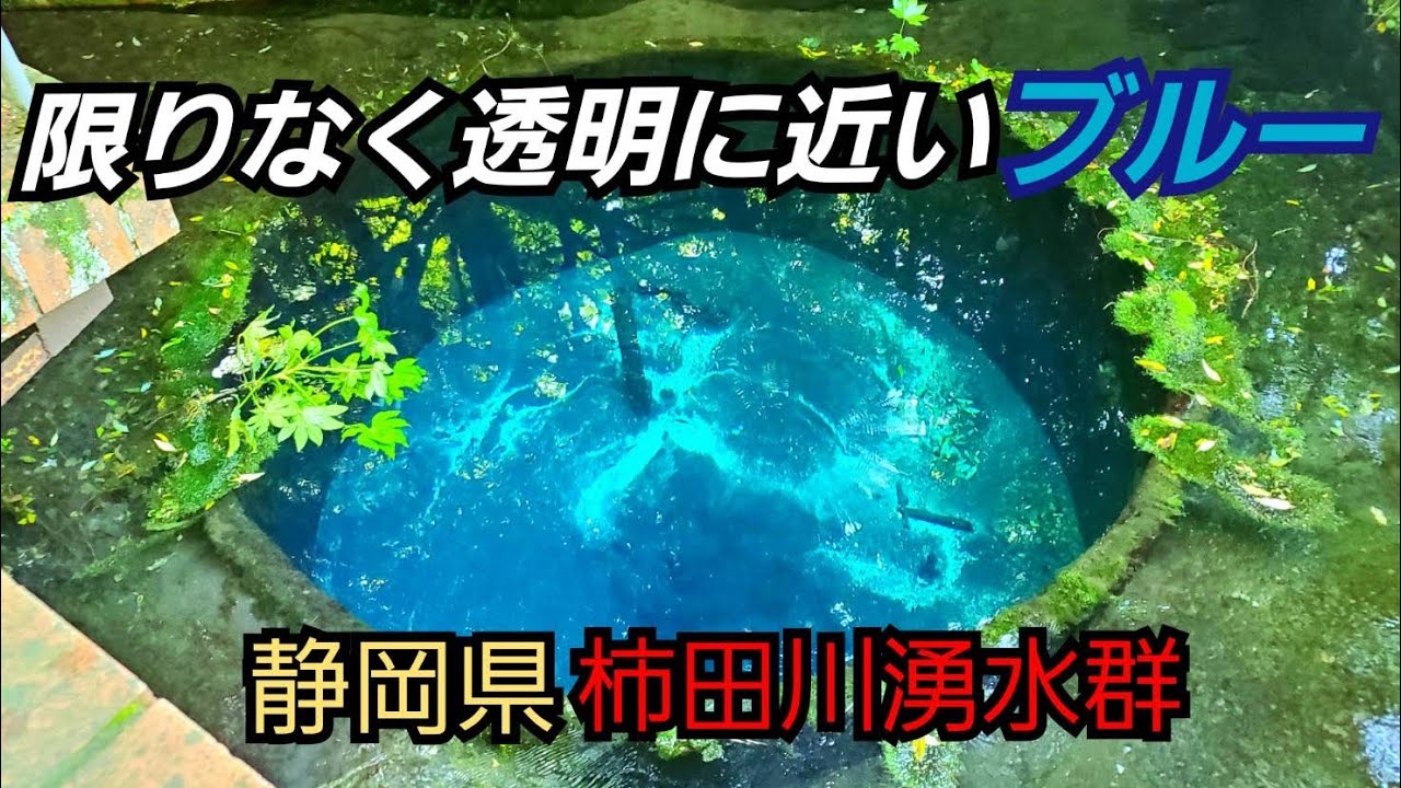 【柿田川湧水群】静岡県で富士山の中を通って湧き出る水の美しさに吸い込まれた！