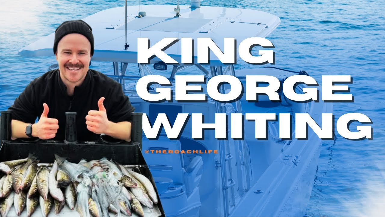 KING GEORGE WHITING | St Leonards and Port Phillip Bay (Squid, Rigs and Tumbler bag included)
