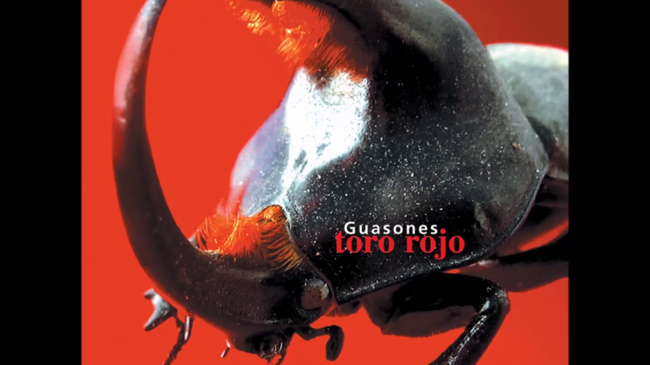 Guasones - 100 a&ntilde;os (AUDIO)