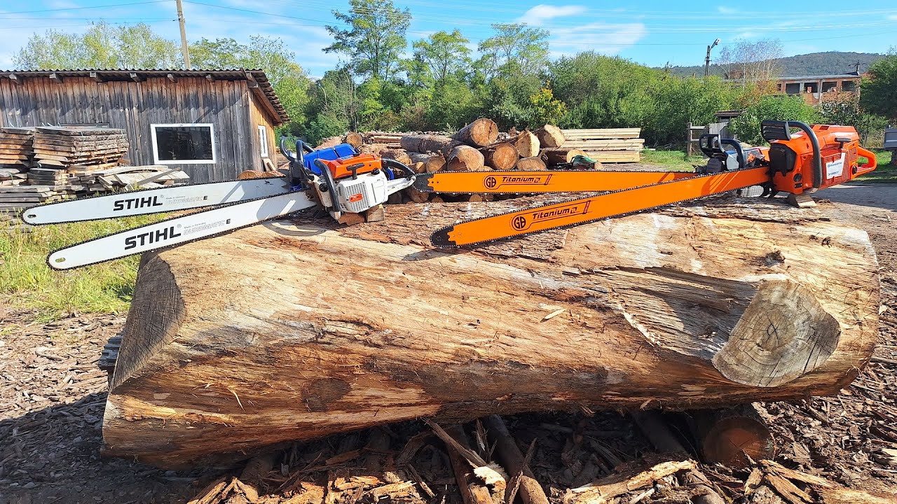 Huge Oak versus Big chainsaws (Stihl MS 880, 076, MS 651, Husqvarna 3120xp, Holzfforma G888)