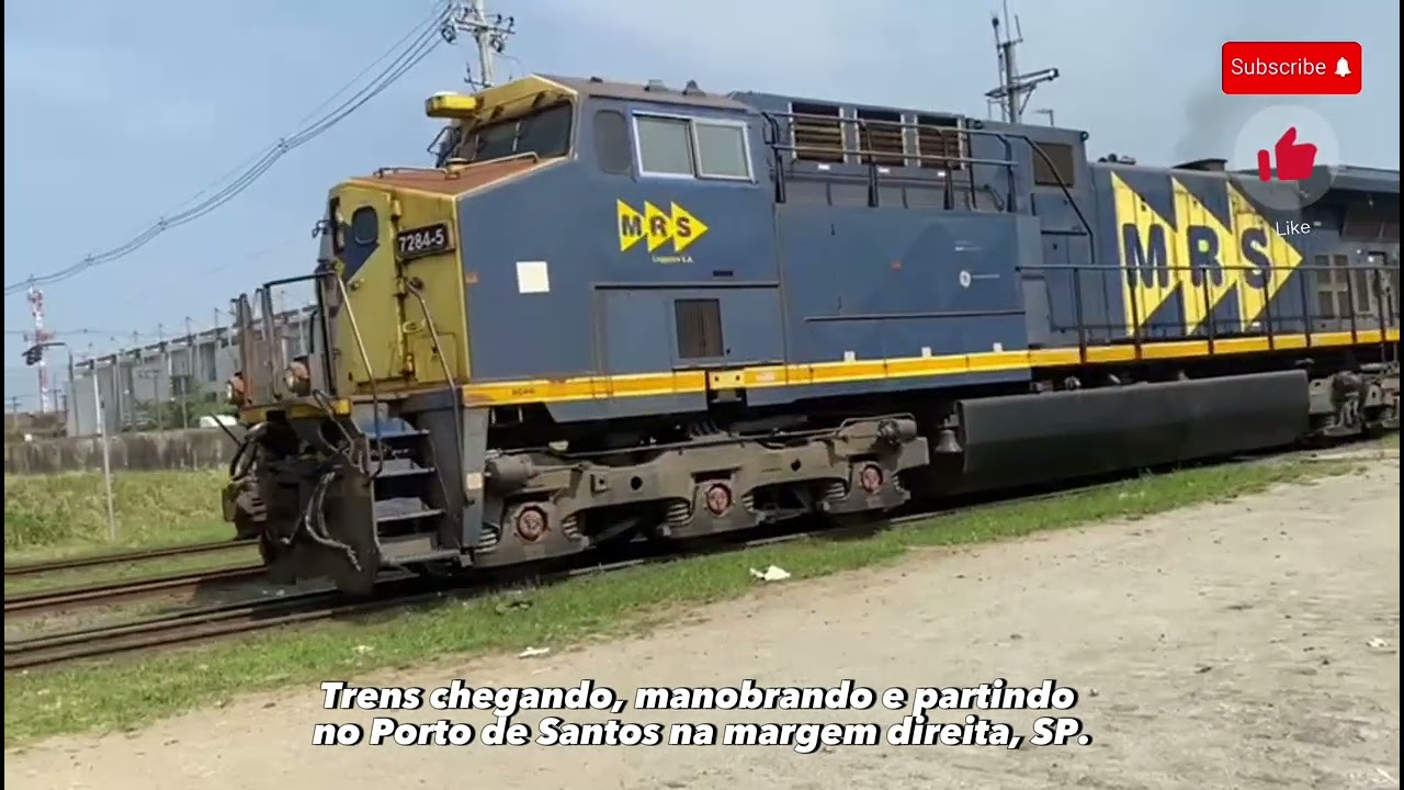 Trens chegando, manobrando e partindo no Porto de Santos na margem direita, SP.