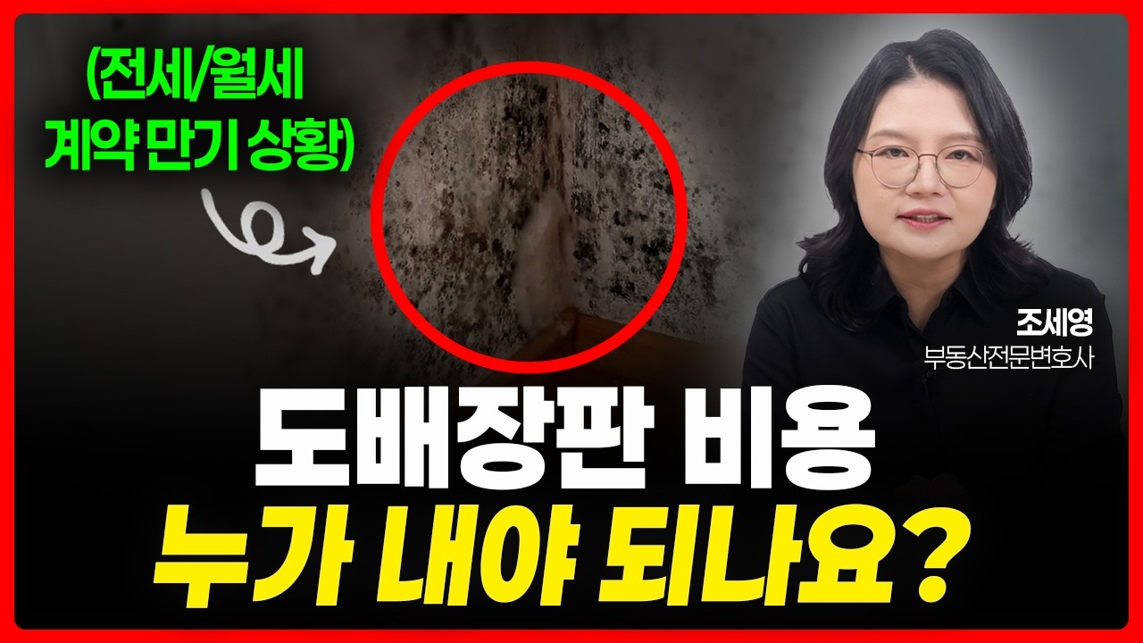 도배장판 비용, 전세 월세일 경우 누가 내야될까? | 부동산전문변호사 조세영