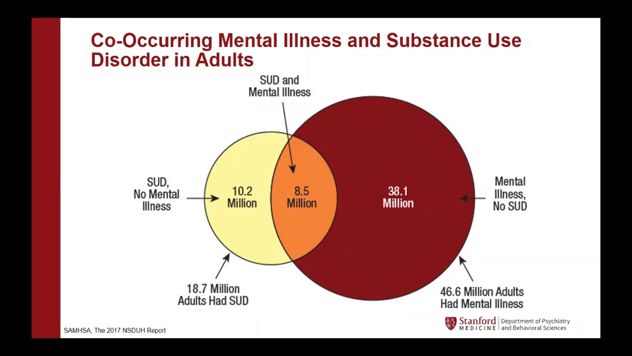 Integrated Treatment Webinar Series: Defining and Assessing Integrated Behavioral Health Capacity