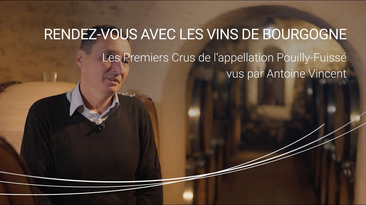 La genèse de la reconnaissance des Premiers Crus de l'appellation Pouilly Fuissé par Antoine Vincent
