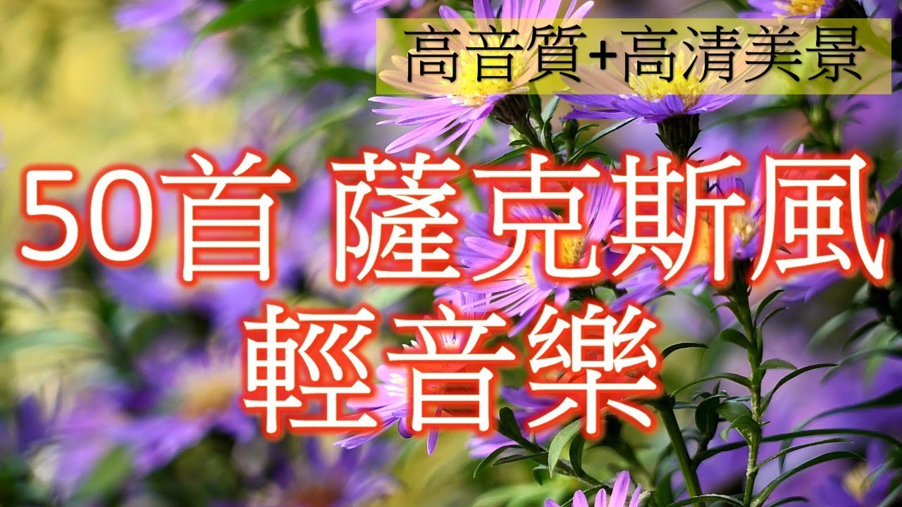50首 薩克斯風 輕音樂 放鬆解壓 Relaxing Chinese Saxaphone Music