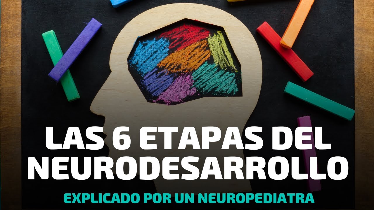 Conoce los 6 niveles de desarrollo de tu hijo...te interesa saberlo