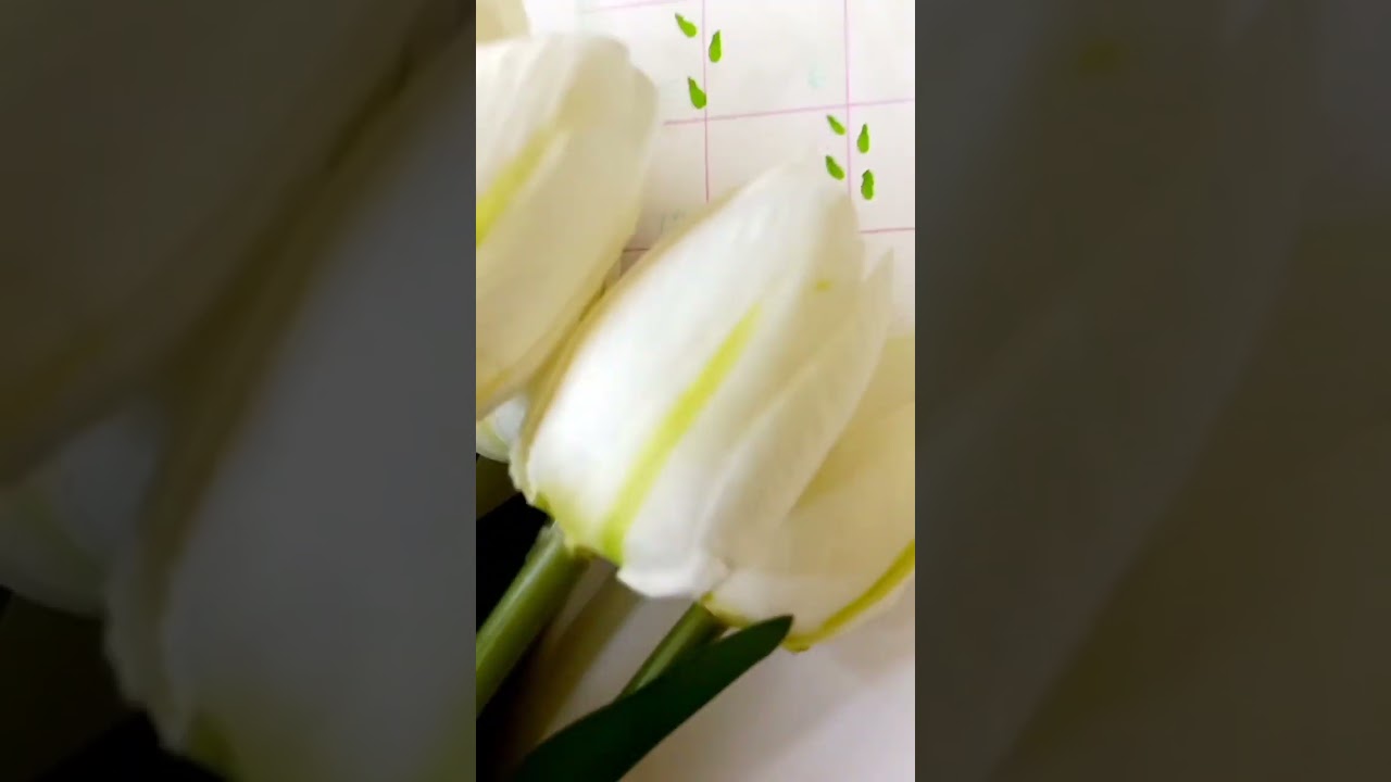 MARCH BUJO.💗 🌿🌿STAY TUNED. for more bujos ,crafts and cooking. 🥰