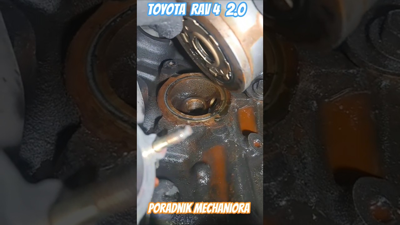 SZOK, USZCZELKI JAK KAMIEŃ #toyotarav4 #timingbelt #mechanic #enginefailure #waterpump #satisfying