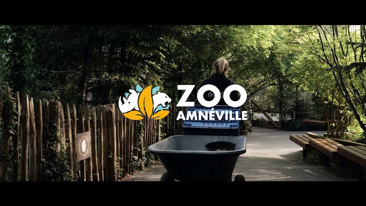 Zoo Amnéville - Découvrez le parc