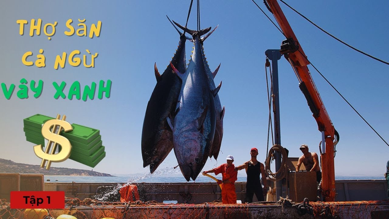 Tập 1: Ngư dân ra khơi săn cá ngừ vây xanh | Sinh tồn hoang dã