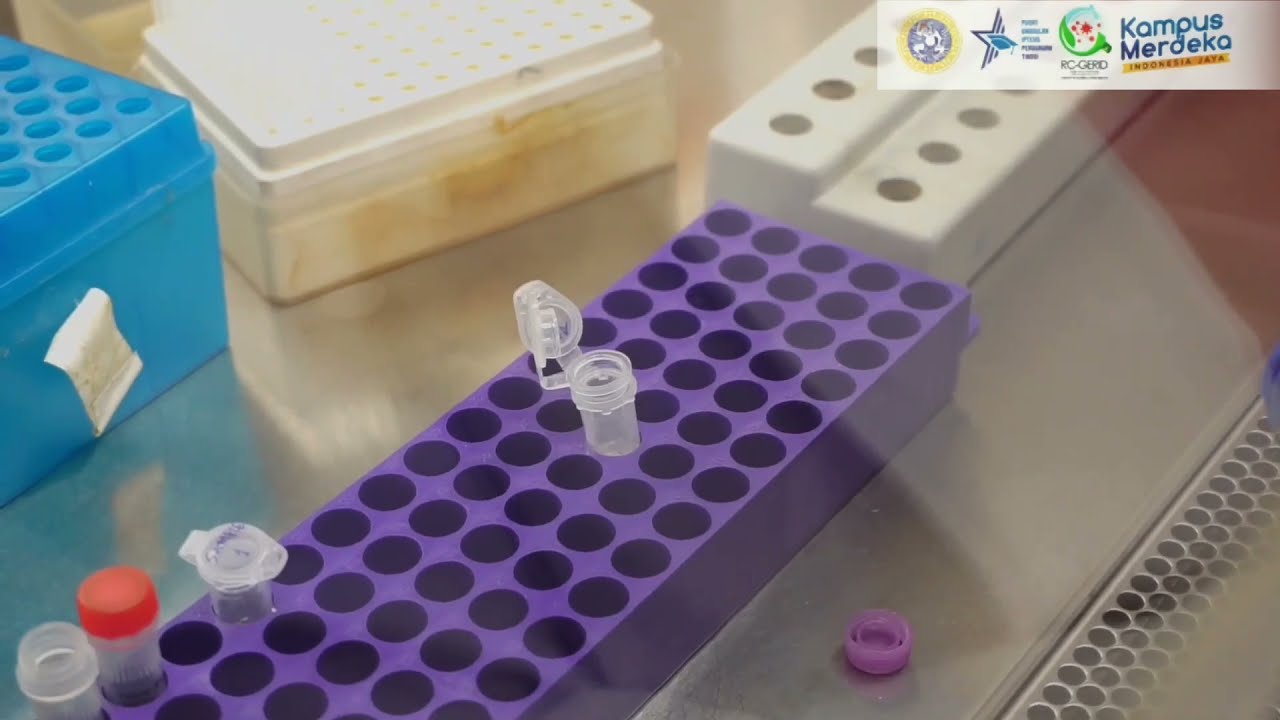Proses Ekstraksi RNA