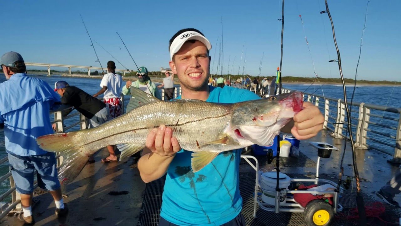 The Catfish Crew - Sebastian Fishing