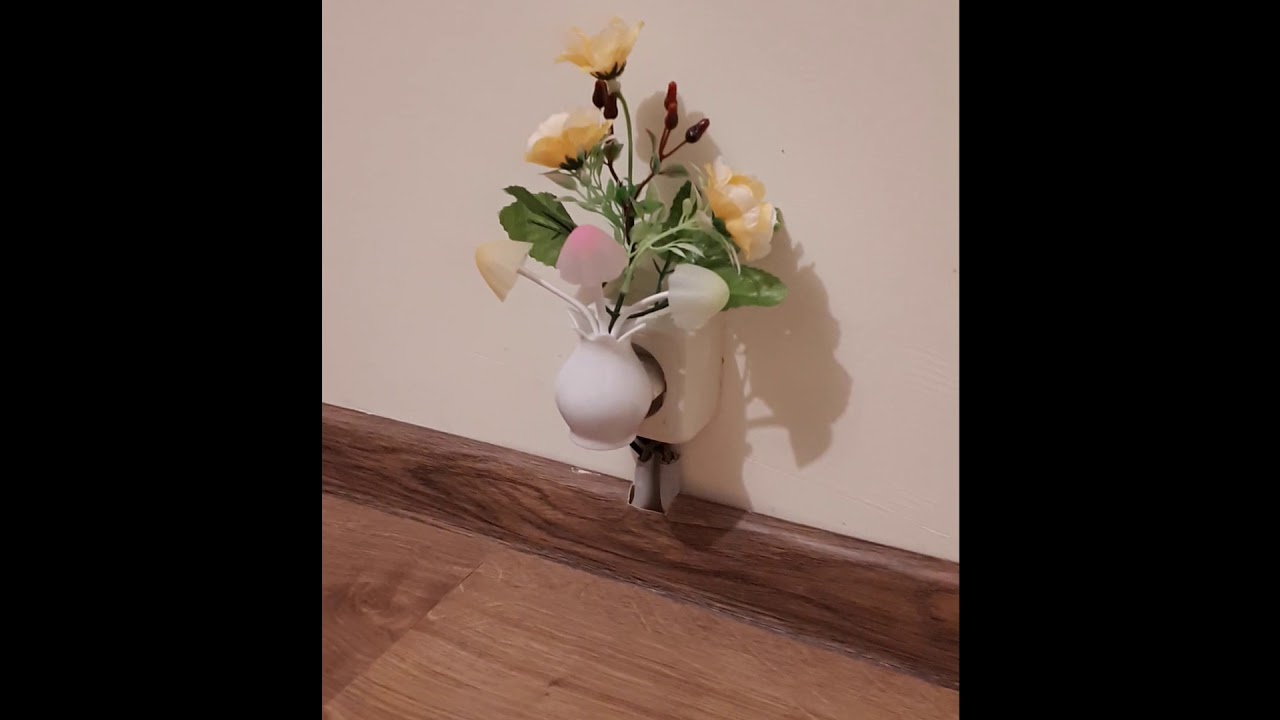 20181126 185458