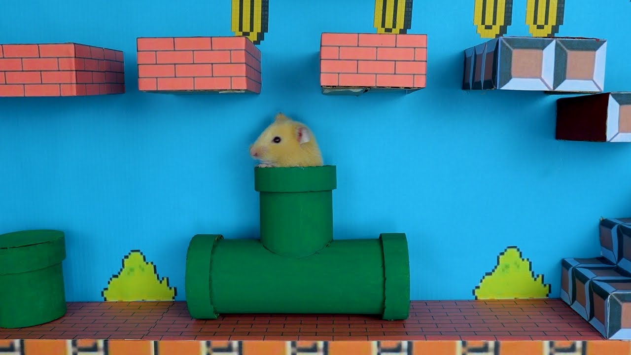 Super Mario Hamster Bros.