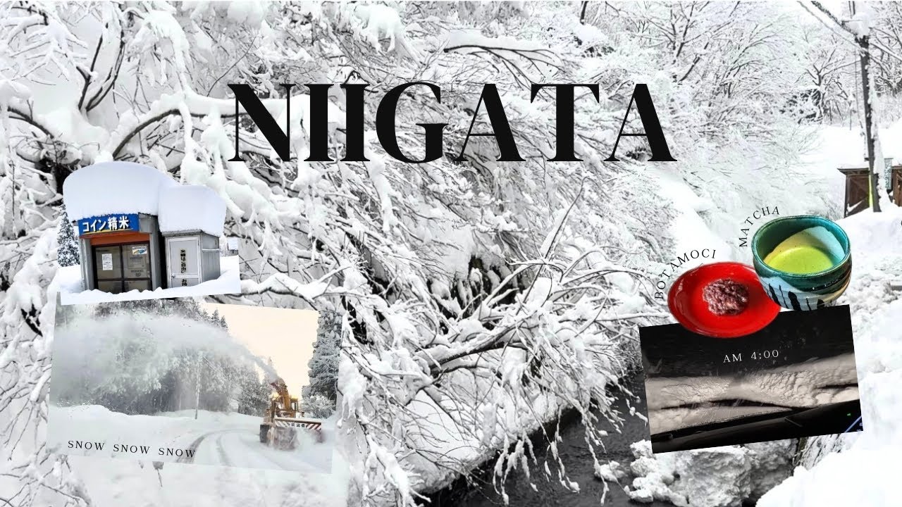 ❄️新潟・松之山　雪旅| 美しい雪景色を巡る２日間|Niigata, Japan (2026) | Quiet Winter Snow Trip