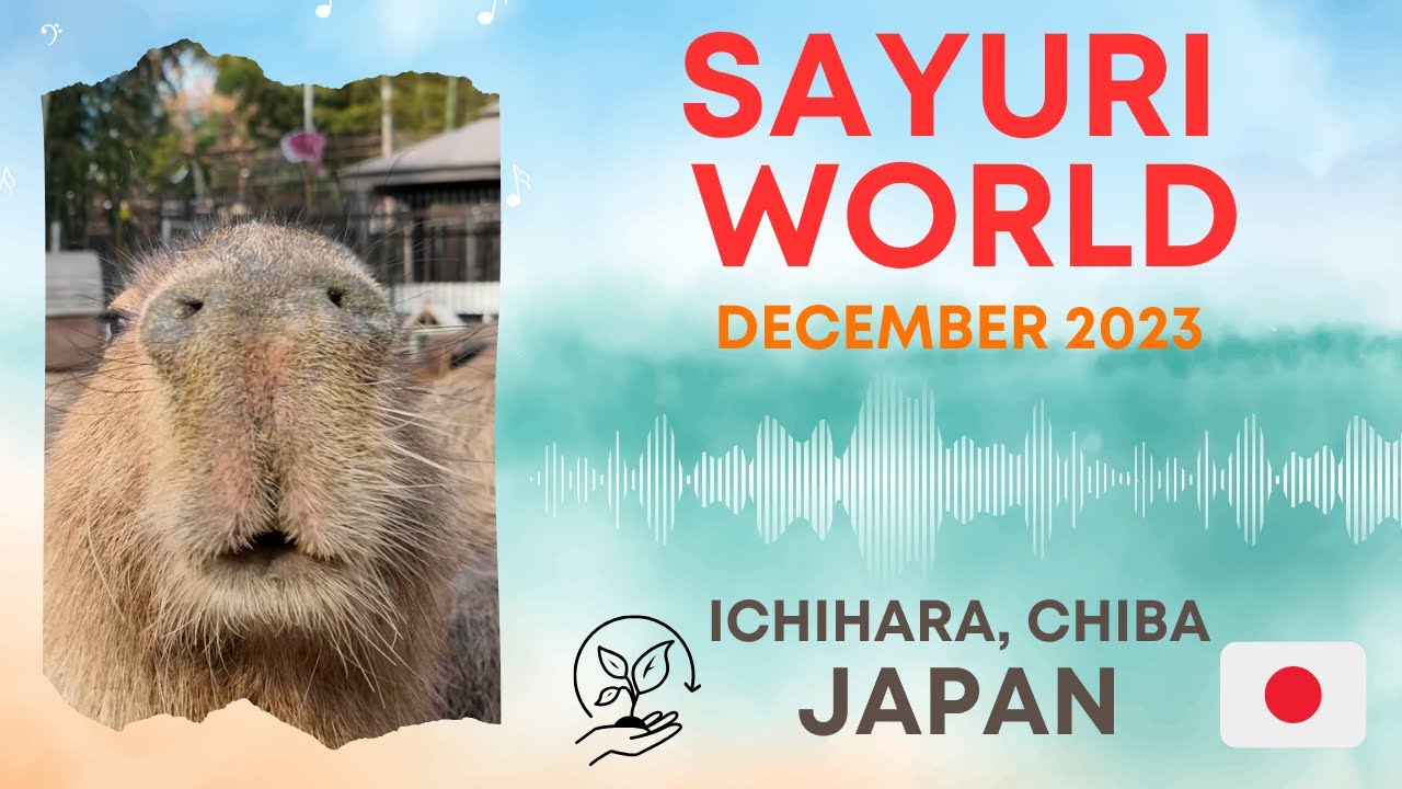 4K Sayuri World | Ichihara Chiba, Japan | Relaxing Music