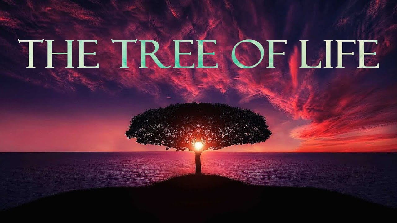 The Tree of Life (Instrumental)