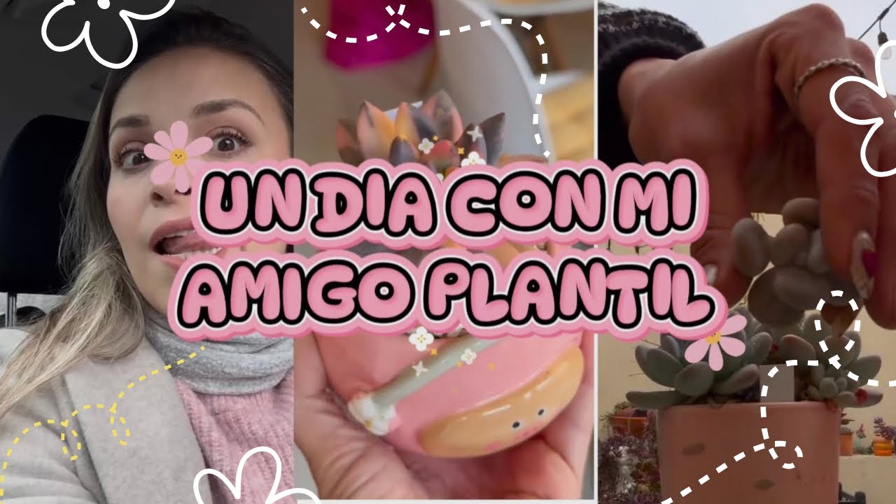 Un día con mi amigo plantil! Resguardamos las plantas, hicimos live plantando y chismeando. 