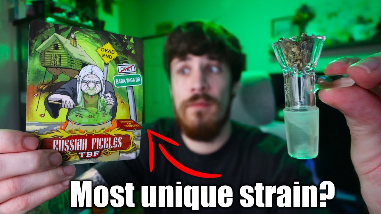 I Didn&rsquo;t Expect This Strain to Hit Like THAT...