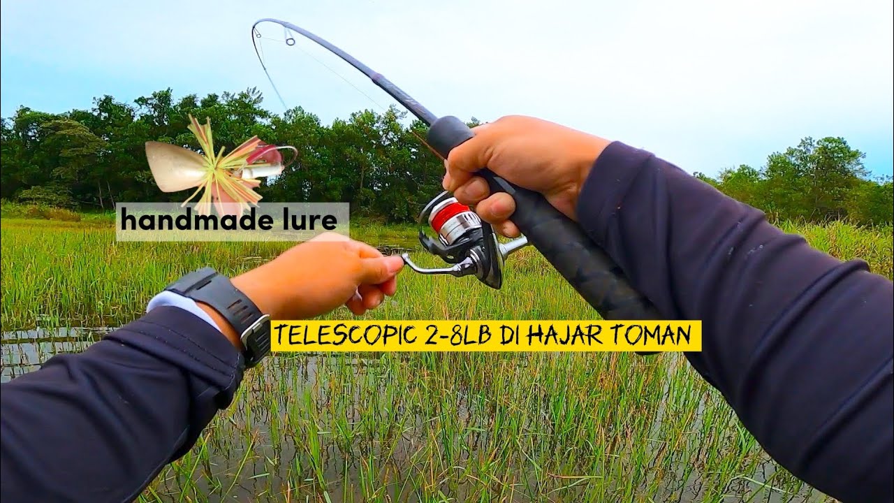 Rod telescopic 2-8lb di hajar toman || toman rawa #telescopic #handmadelure