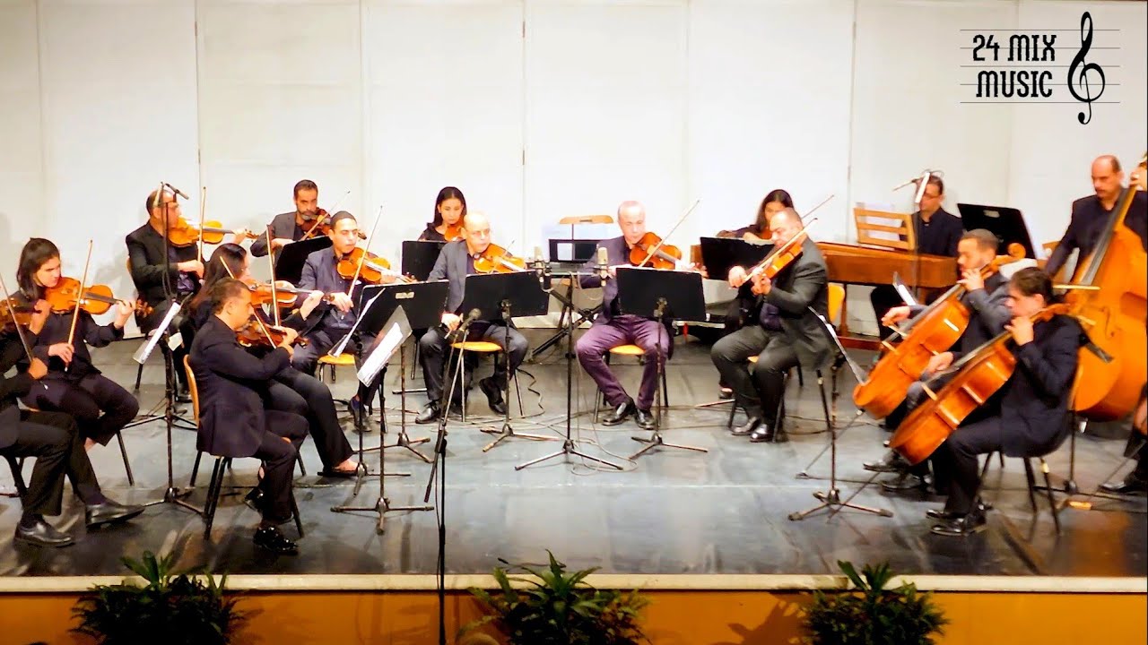 U. Van Wassenaer| Concerto Armonico no. 2 | اوركسترا مكتبة الاسكندرية