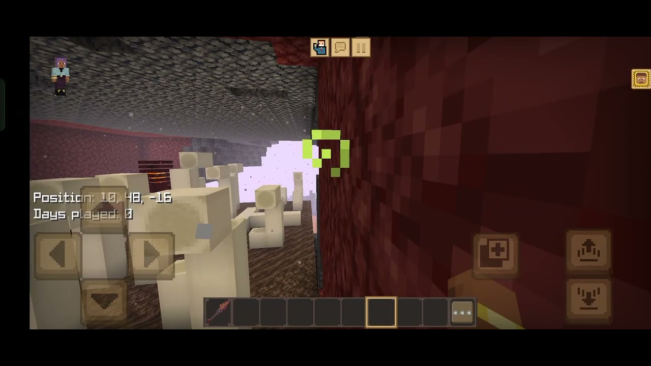 Nether Fossil Collection