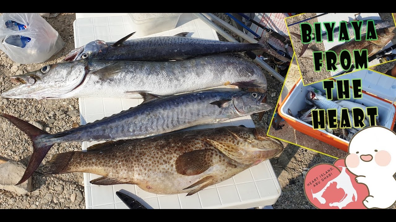 Biyaya from the HEART, Abu Dhabi Island Escapade | FishWorld TV