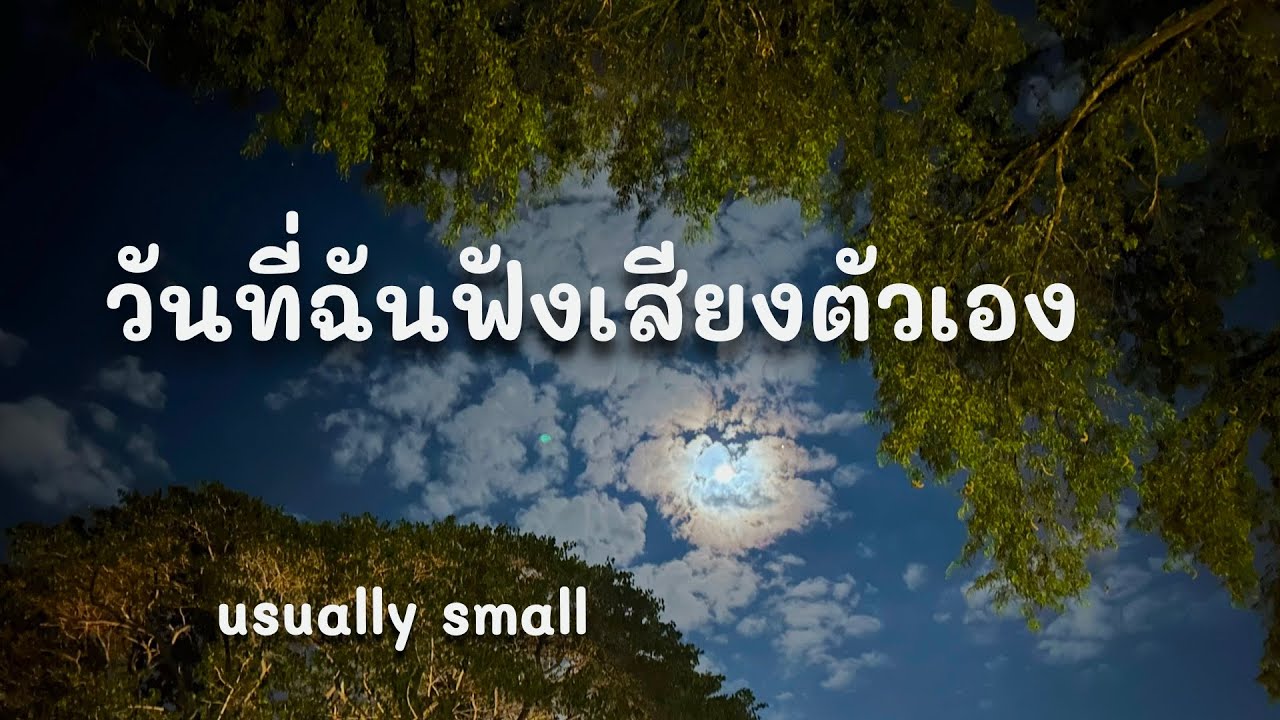วันที่ฉันฟังเสียงตัวเอง - usually small (Ver. 2026) [Official Audio] +Lyrics