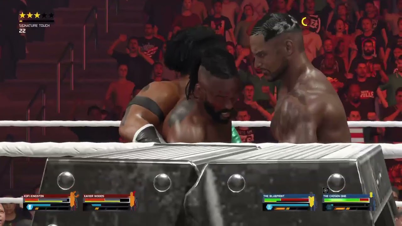 WWE LADDER MATCH