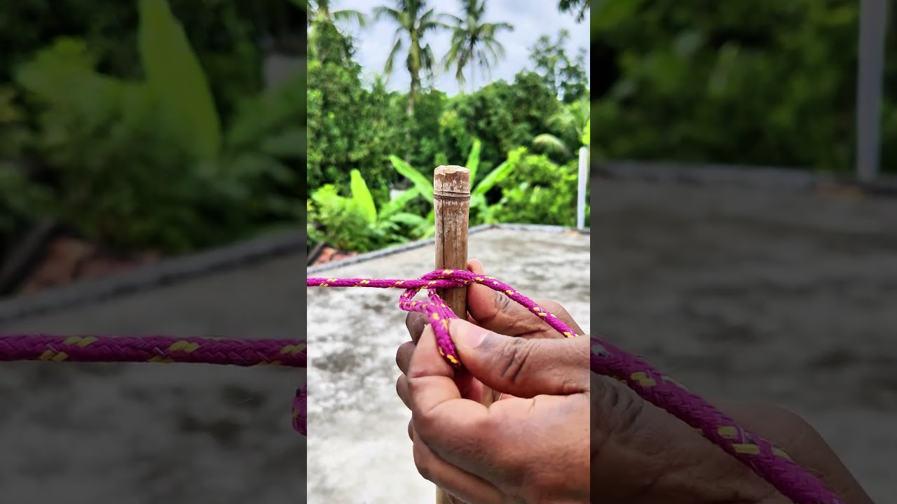 I believe it is the best knot in the world now