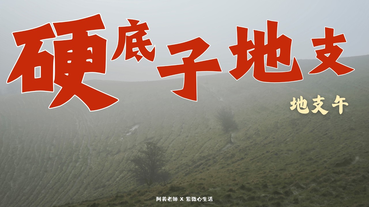地支的隱藏性格：地支午，天生自帶光芒，地支午如何靠魅力創造自我價值｜硬底子地支系列