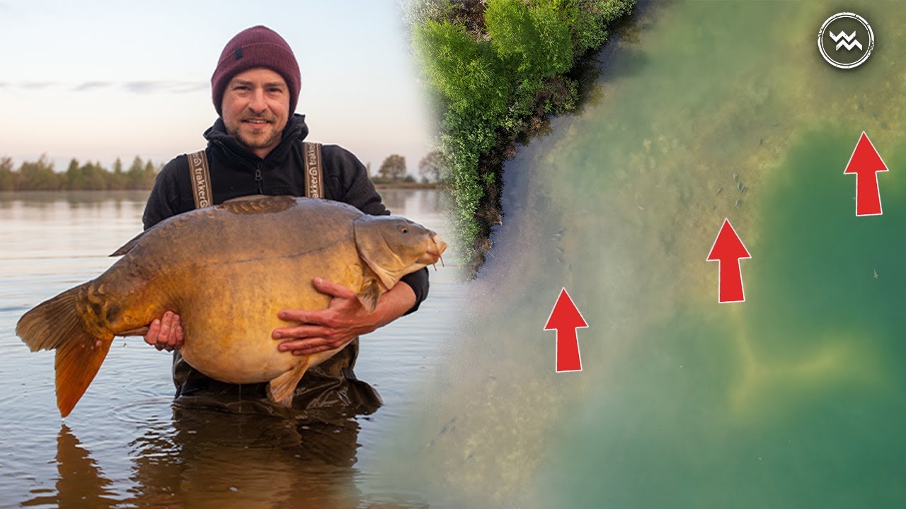 Karpfenangeln am Baggersee – so klappt es instant