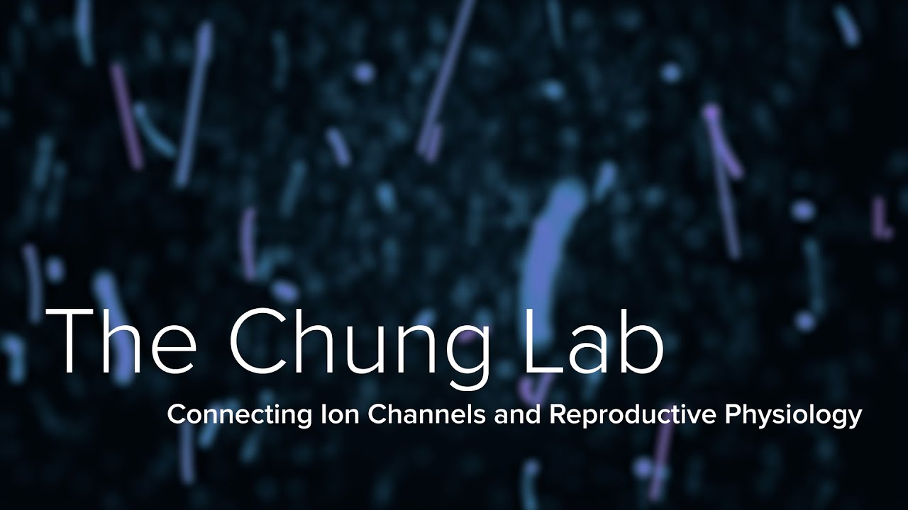 Ion Channels, Sperm Motility, & Fertility  - The Chung Lab at Yale School of Medicine