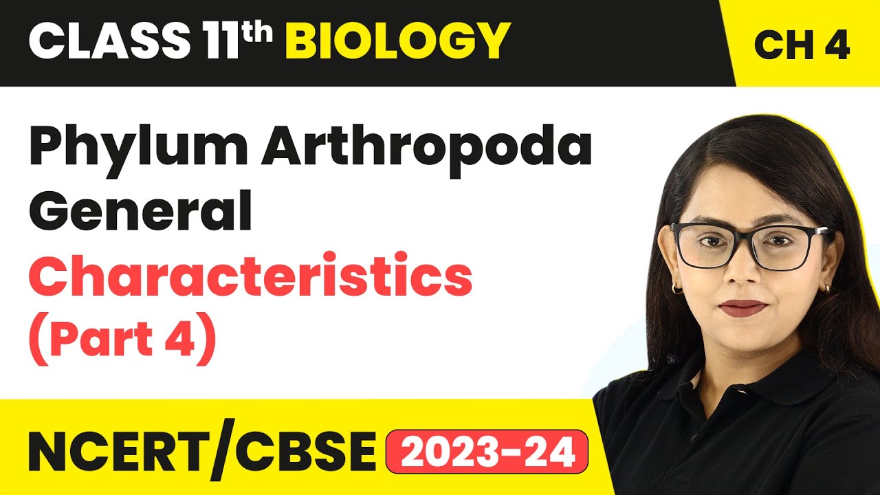 Phylum Arthropoda General Characteristics (Part 4) | Class 11 Biology Chapter 4 | NCERT/CBSE