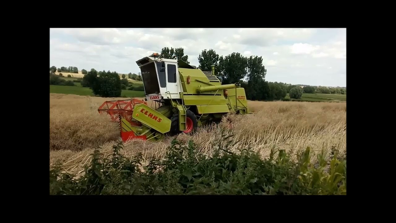 Claas Mercator 60 żniwa rzepaku 2022