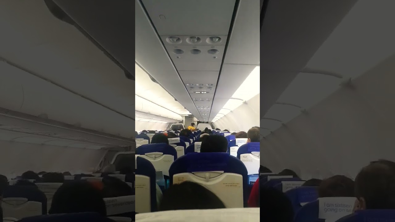 Flight View✈✈✈✈#shorts #flightview #flight #devbreevlogs