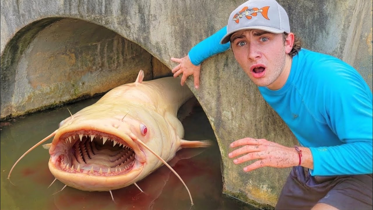 I FOUND A HIDDEN TUNNEL FILLED With AQUARIUM FISH!