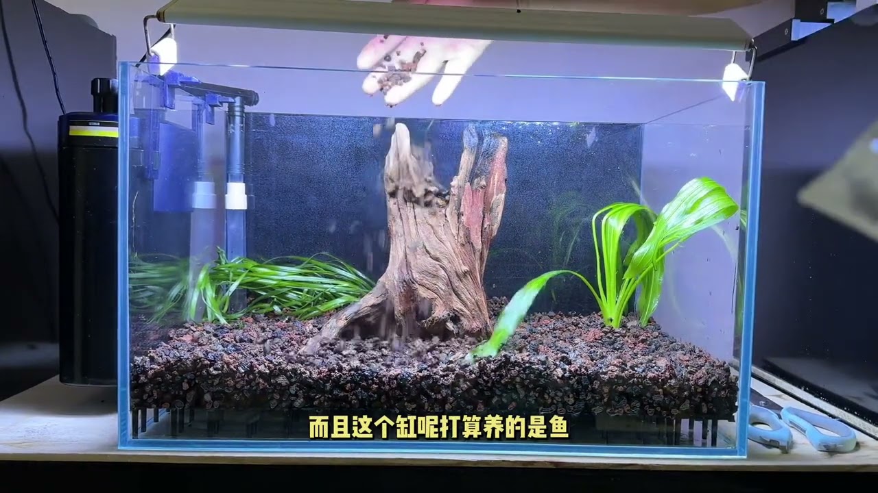 安彩壁挂连接底砂过滤保姆级安装教程，嘎嘎详细，视频很长制作不易记得点赞关注加收藏，这种过滤方式一般适合长度50以下的小缸，大缸饲养密度大会导致水循环不够效果不好#龟 #记录真实生活 #龟友