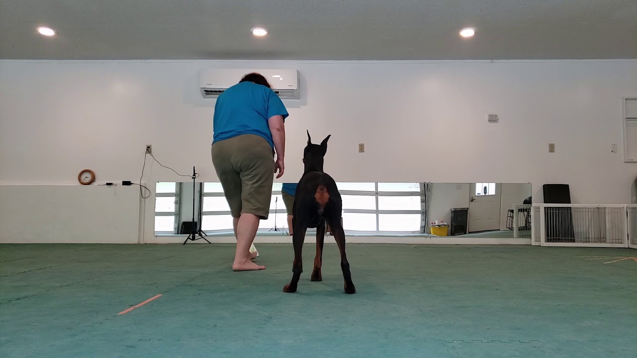 RA310 Week 3 downstandmotion