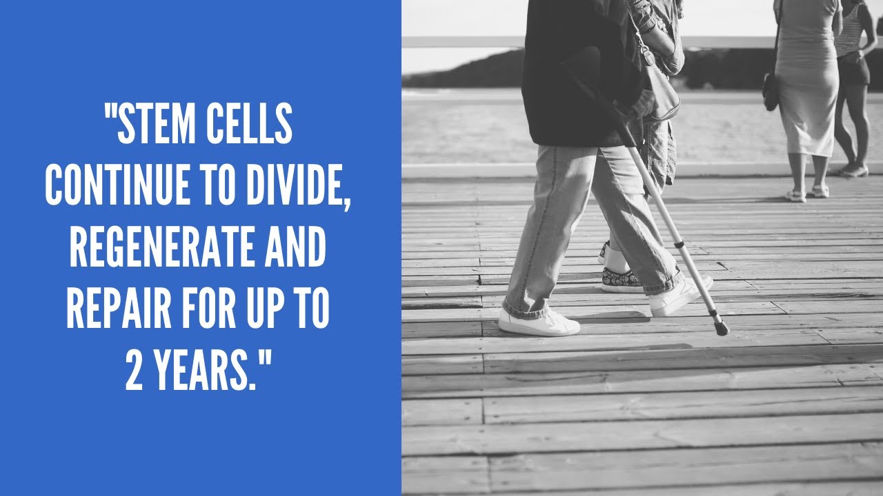 How Long Does It Take Stem Cells to Work?