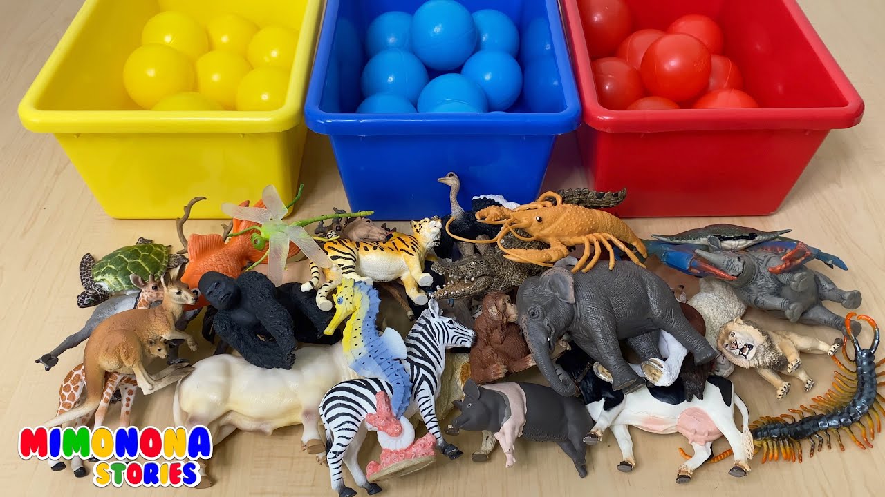 Colecci&oacute;n de Animales 🦁 Juguetes para ni&ntilde;os 🦍 Colores y Nombres de Animales ✨ Mimonona Stories