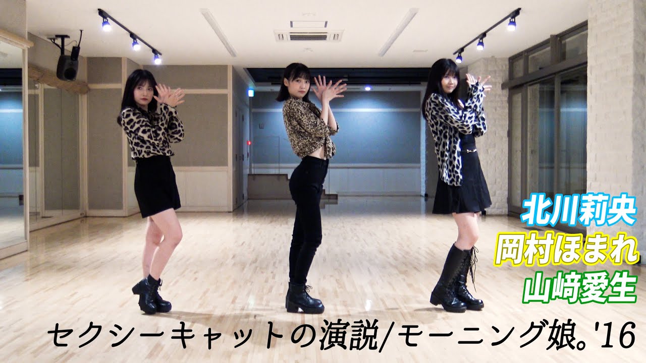 セクシーキャットの演説/モーニング娘。’16