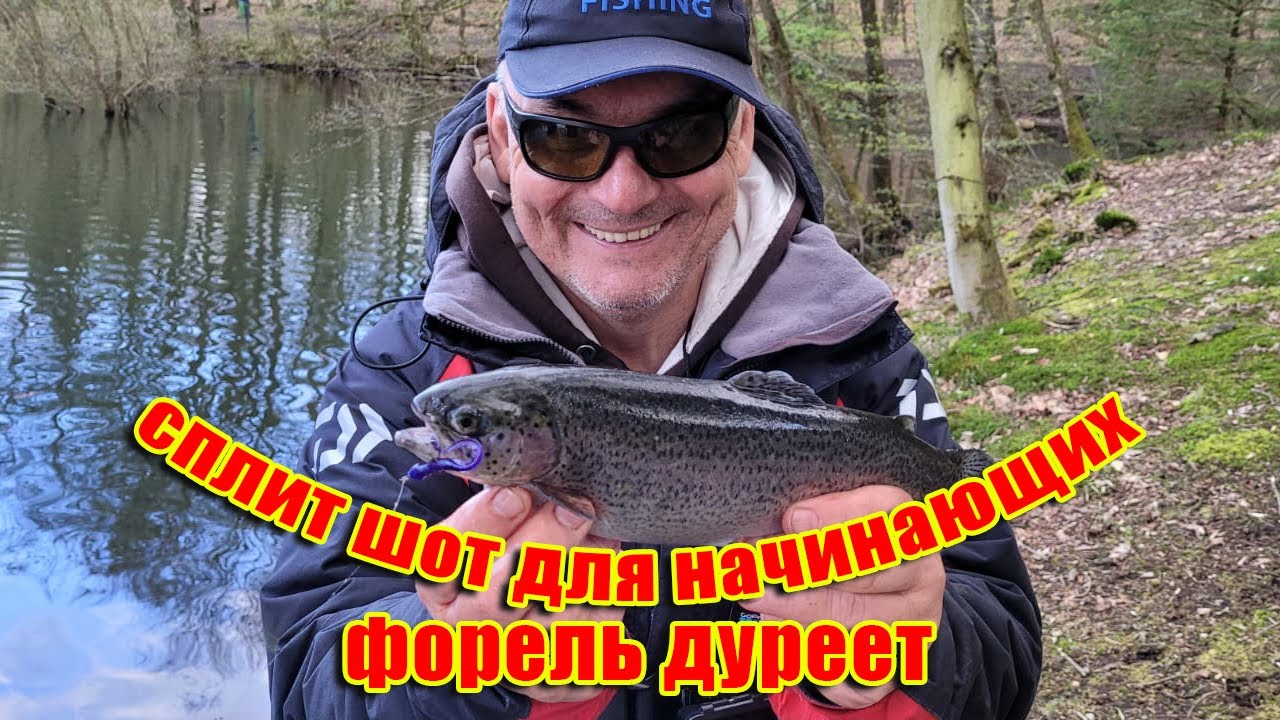 Сплит Шот для начинающих. Форель дуреет.