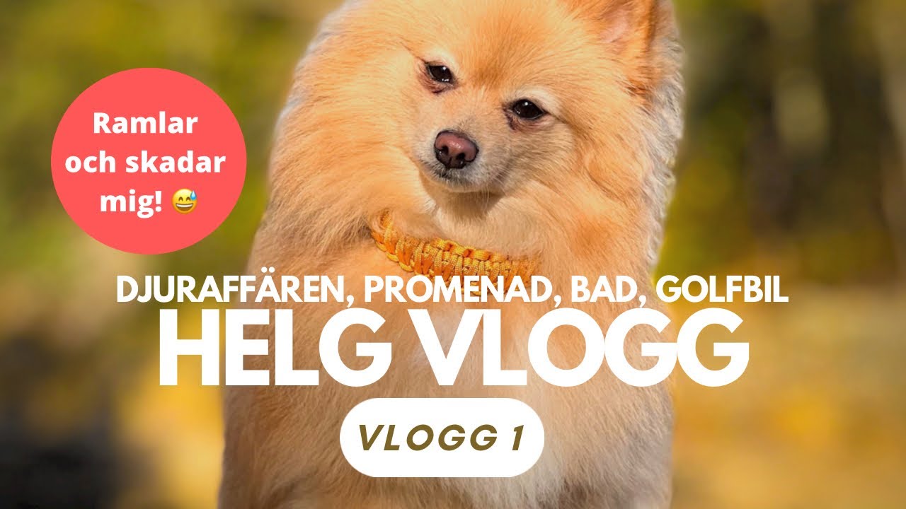 HELGVLOGG - Djuraffären, skadar mig i skogen, bad & åka golfbil