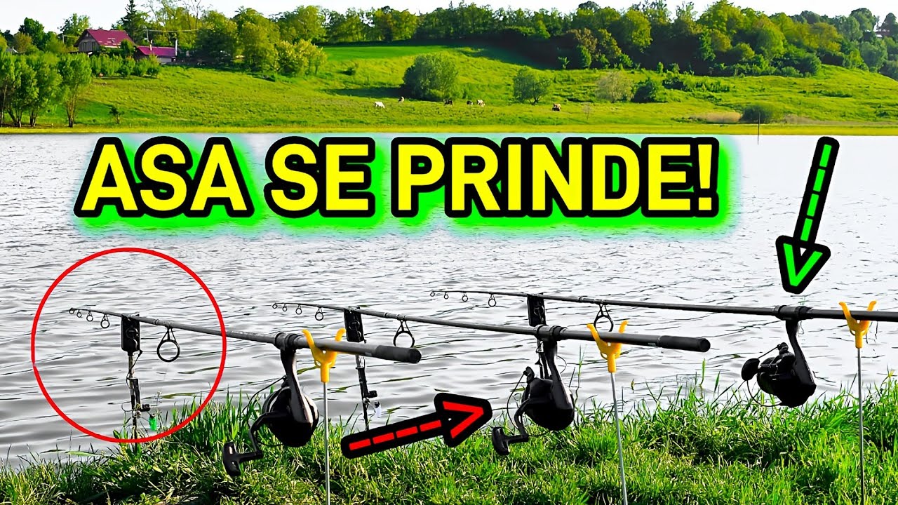 NU CREDEAM CA ACEASTA ABORDARE VA FUNCTIONA ATAT DE BINE (INVATA SI TU)