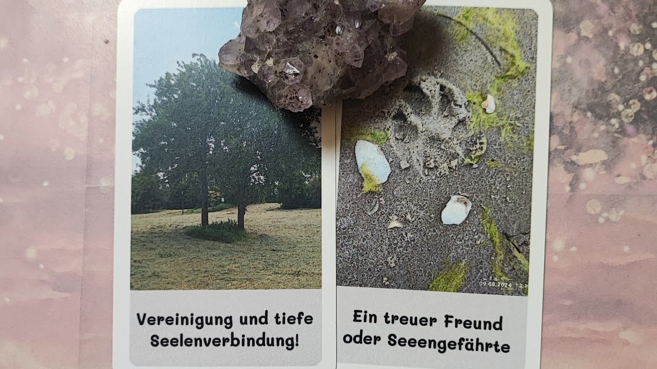 🐾👩‍❤️‍💋‍👨Eine treue Verbindung mit Wertschätzung u. Respekt💘💎Ein neues Leben ruft dich💃🎁🍀🎇🌠💫💯💝