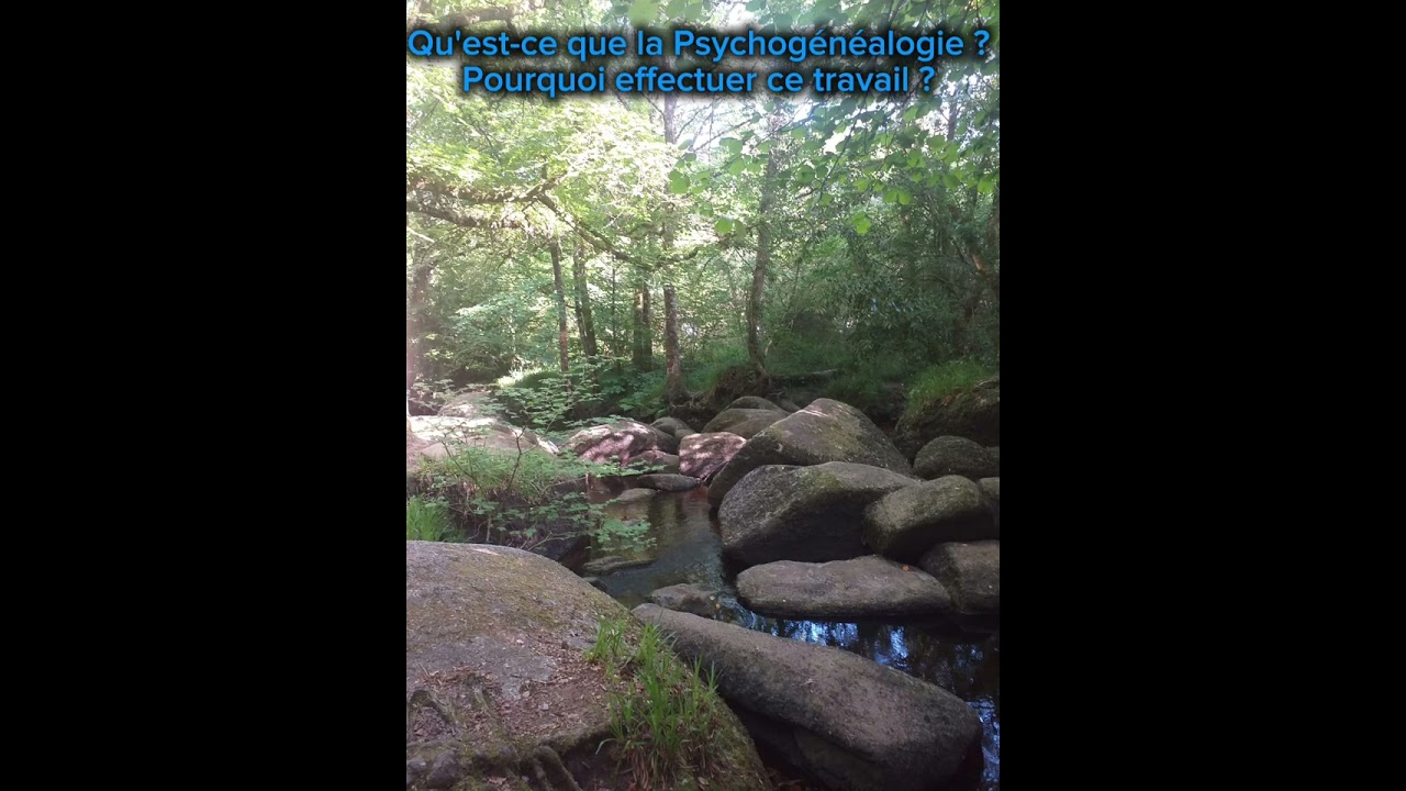 Qu'est-ce que la Psychogénéalogie Thérapeutique ? Et pourquoi effectuer ce travail ? 🌳🌳🌳