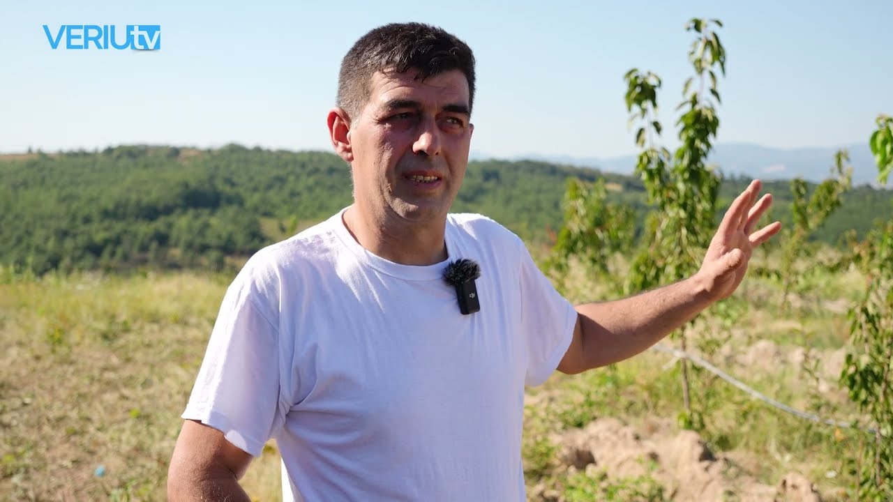 Bujku nga Vushtrria ia sheh hajrin rrushit e qurshiave, thotë që se ndërron me asnjë zanatë tjetër!