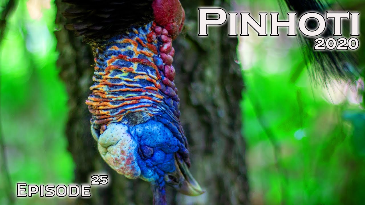 LONELY LATE SEASON GOBBLERS | the TIME is RIGHT | GEORGIA TURKEY HUNTING- Pinhoti 2020